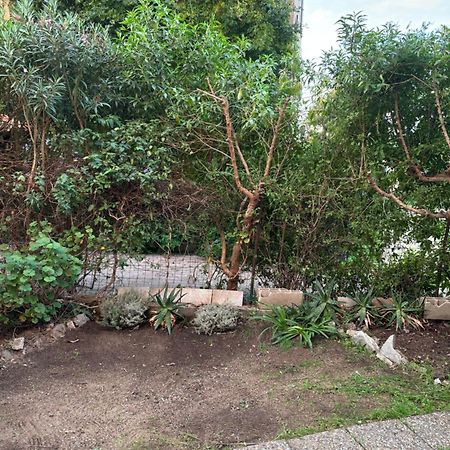 Appartamento Con Giardino A 50 M Dal Mare LʼÎle-Rousse Εξωτερικό φωτογραφία