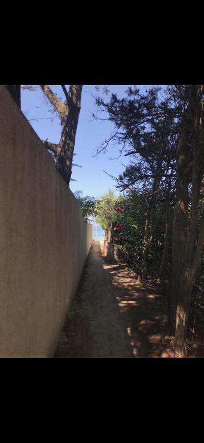 Appartamento Con Giardino A 50 M Dal Mare LʼÎle-Rousse Εξωτερικό φωτογραφία