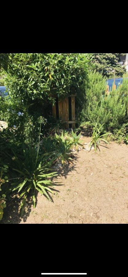 Appartamento Con Giardino A 50 M Dal Mare LʼÎle-Rousse Εξωτερικό φωτογραφία